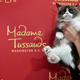 Illustration for article titled Grumpy Cat Is Out of Her Misery